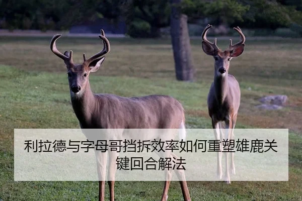 利拉德与字母哥挡拆效率如何重塑雄鹿关键回合解法
