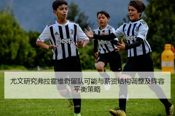 尤文研究弗拉霍维奇留队可能与薪资结构调整及阵容平衡策略