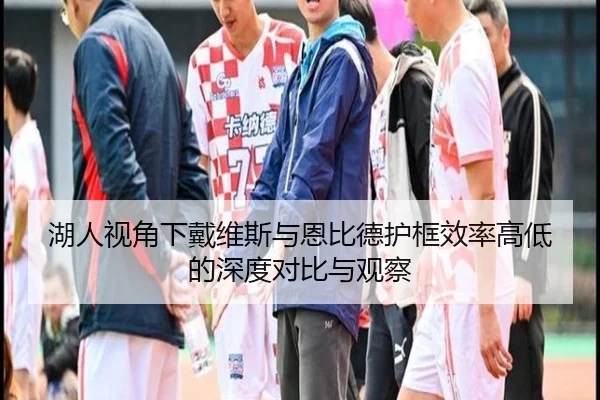 湖人视角下戴维斯与恩比德护框效率高低的深度对比与观察